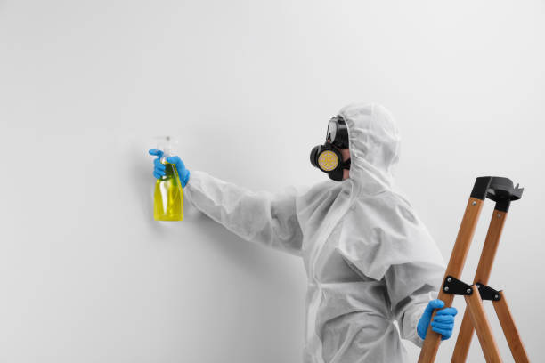 Asbestos and Lead Testing During Mold Inspection in Niceville, FL